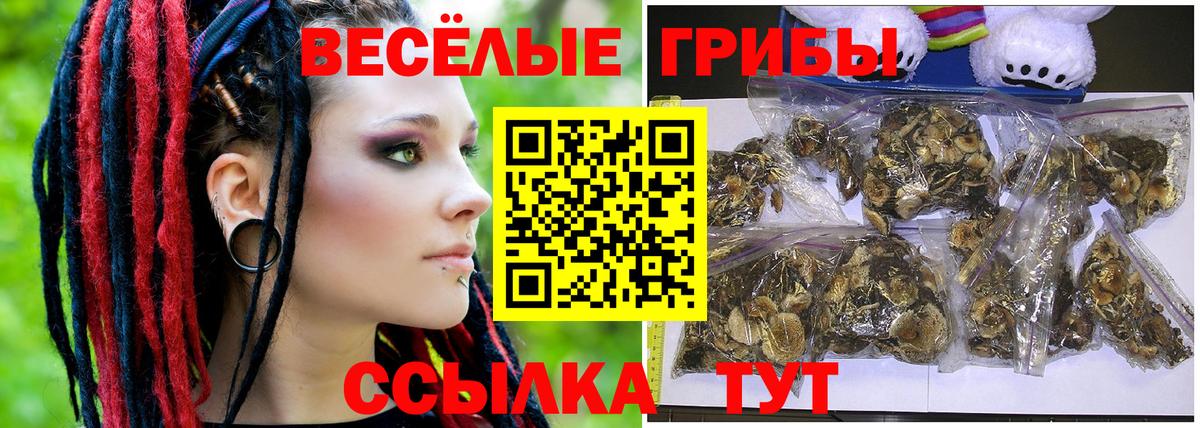 где купить   Галлюциногенные грибы прущие грибы  Коряжма  Вход с VPN  Галлюциногенные грибы Psilocybine cubensis 
