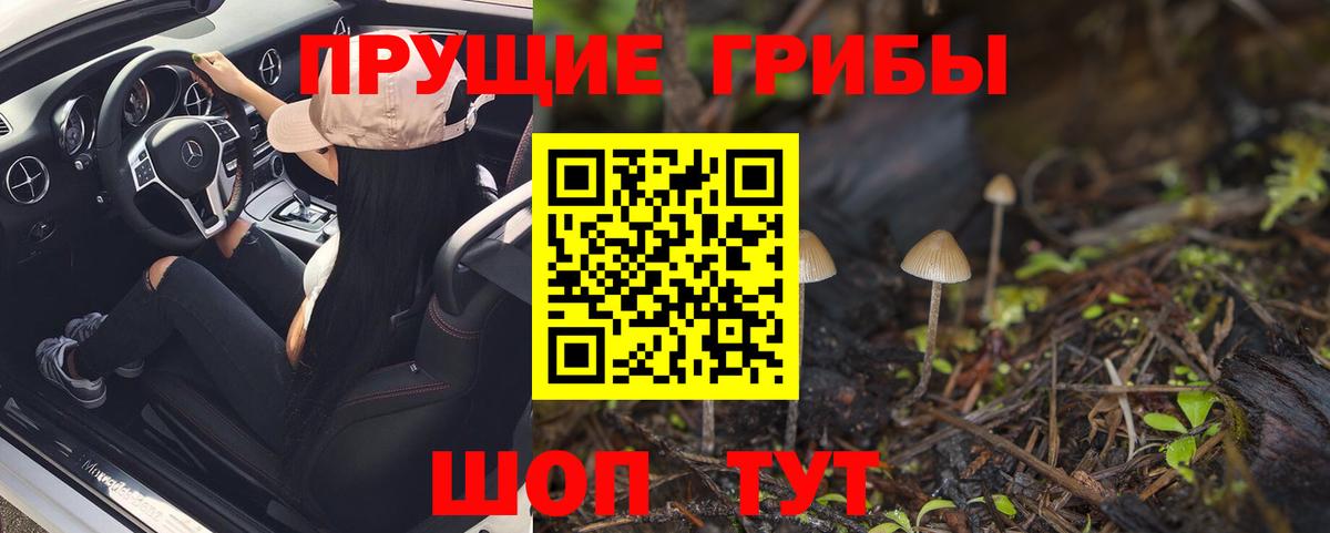 A-PVP Коряжма
