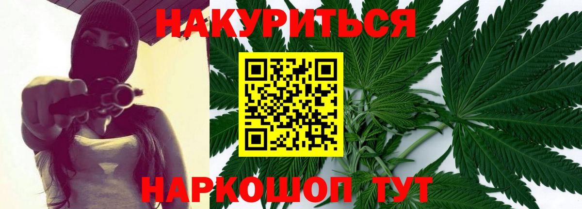 Каннабис сатива Коряжма